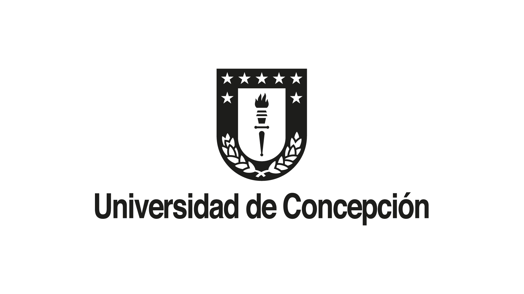 Logo Universidad de Concepción
